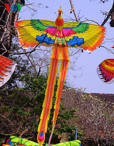 Kites soar over Hue skies - ảnh 2